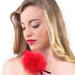 Plumeau érotique Pour Préliminaires En Couple 18cm Rouge - Secret Play